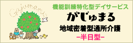 がじゅまる　－半日型－　バナー